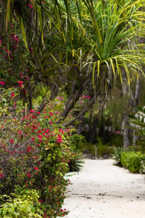 Hakuna Majiwe Beach Lodge Zanzibar image 31